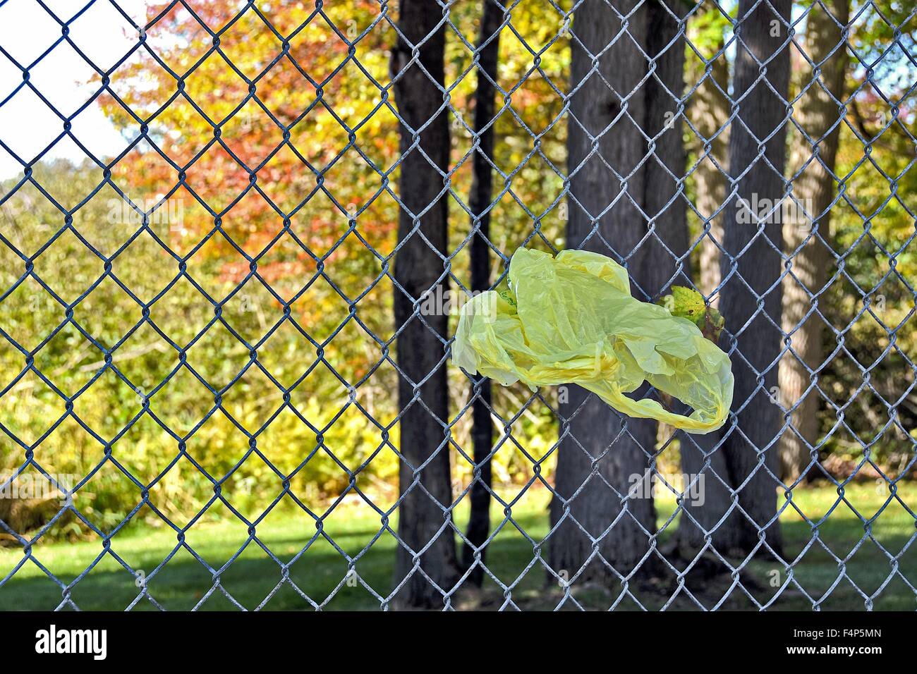 Il giallo di plastica monouso shopping bag catturati in una catena collegamento recinto con foglia. Foto Stock