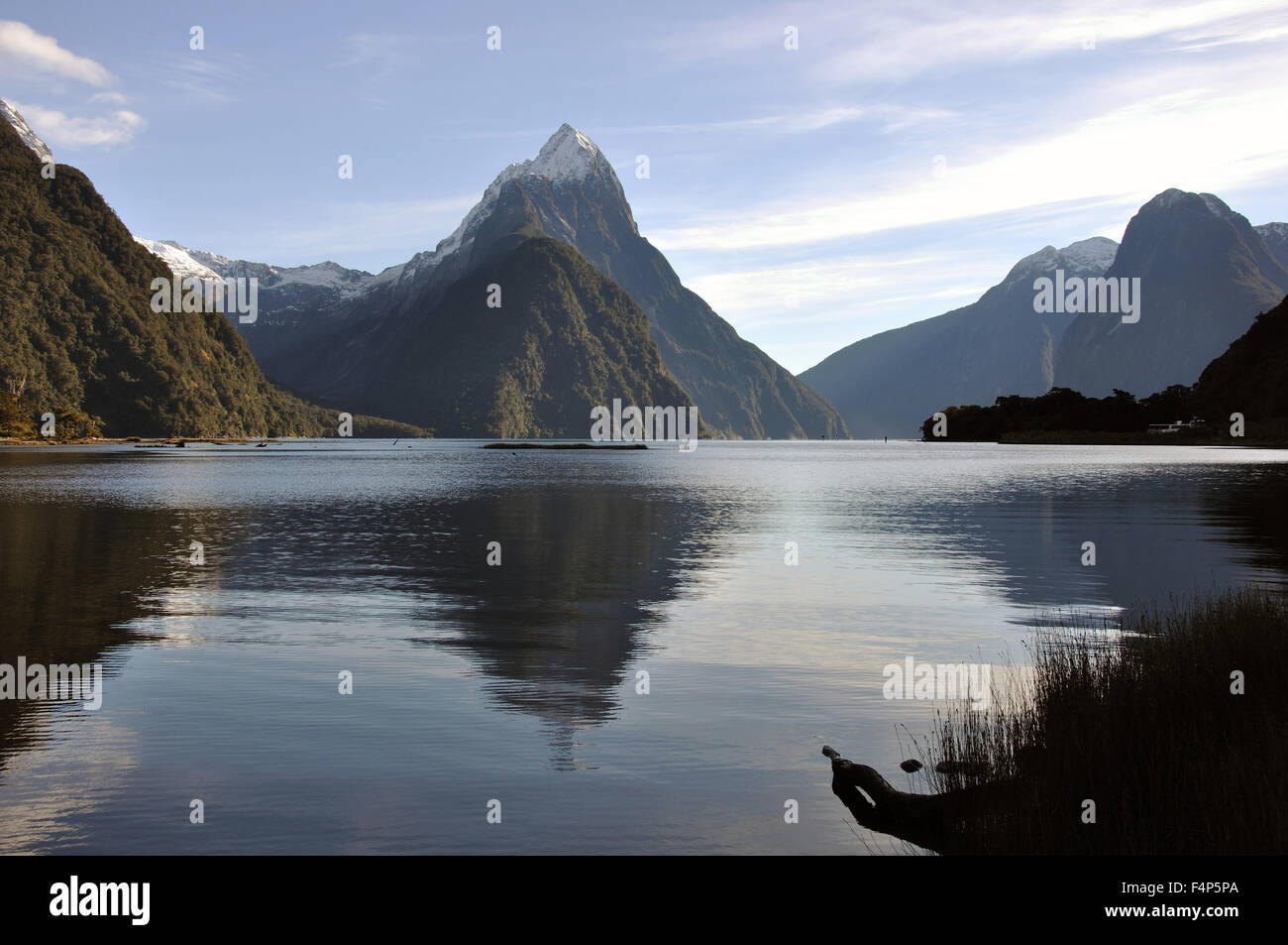 La riflessione di Mitre Peak, Milford Sound, Fiordland, Nuova Zelanda Foto Stock
