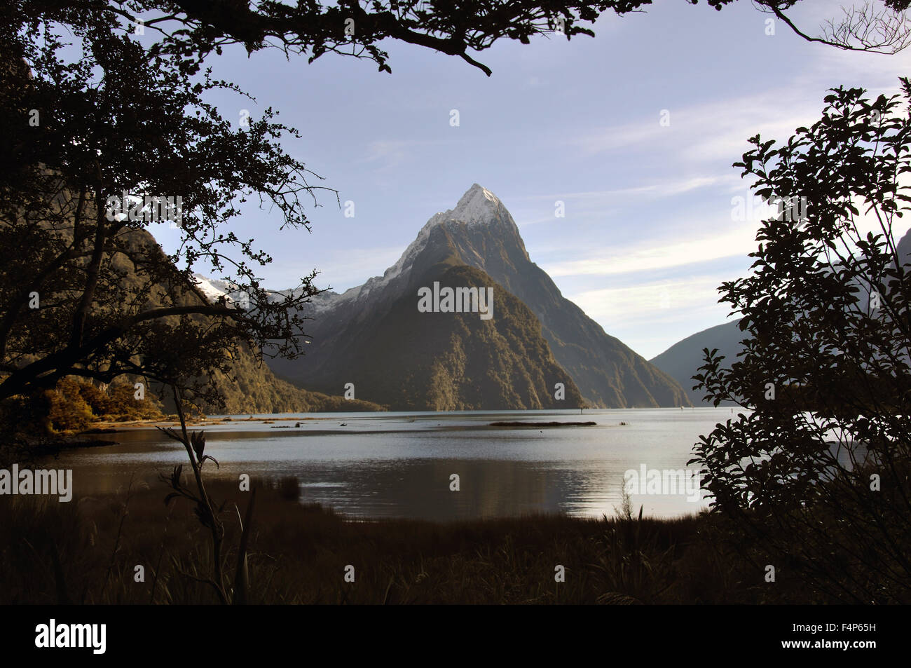 Mitre Peak, Milford Sound, Fiordland, Nuova Zelanda Foto Stock