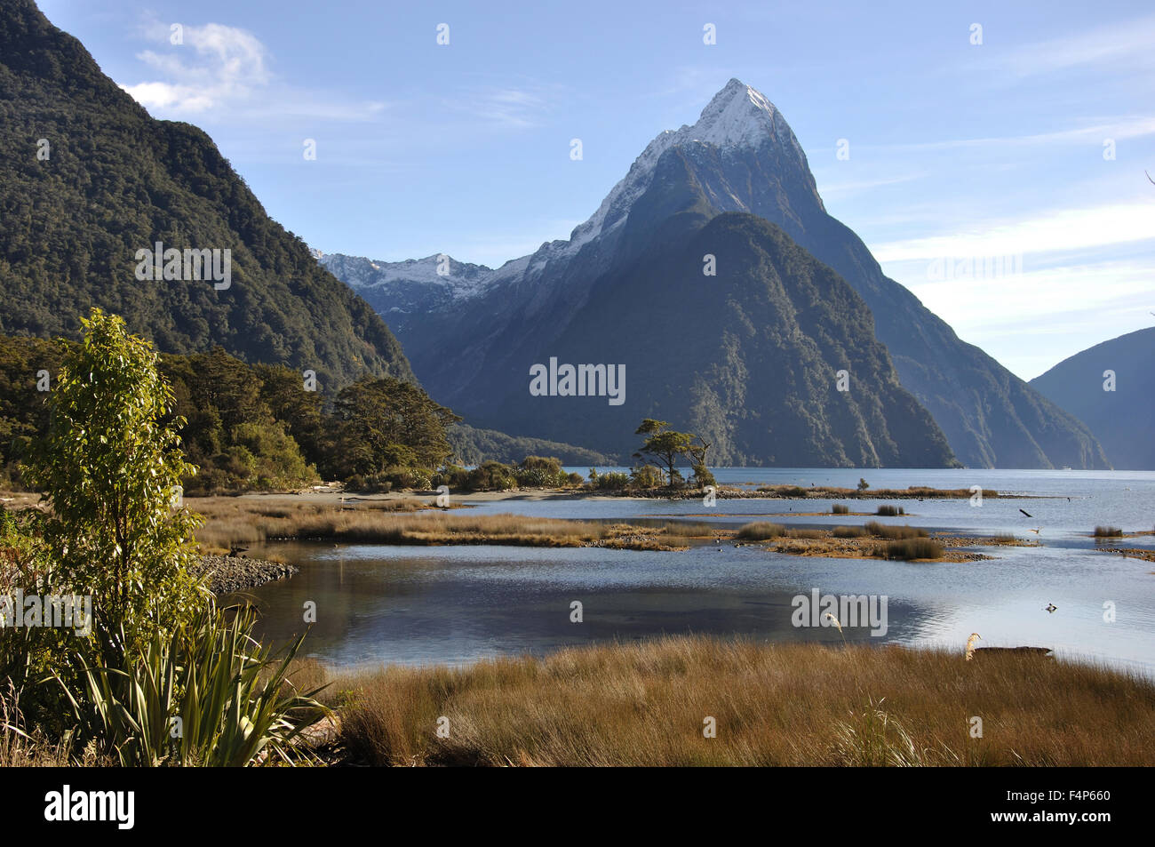 Mitre Peak, Milford Sound, Fiordland, Nuova Zelanda Foto Stock