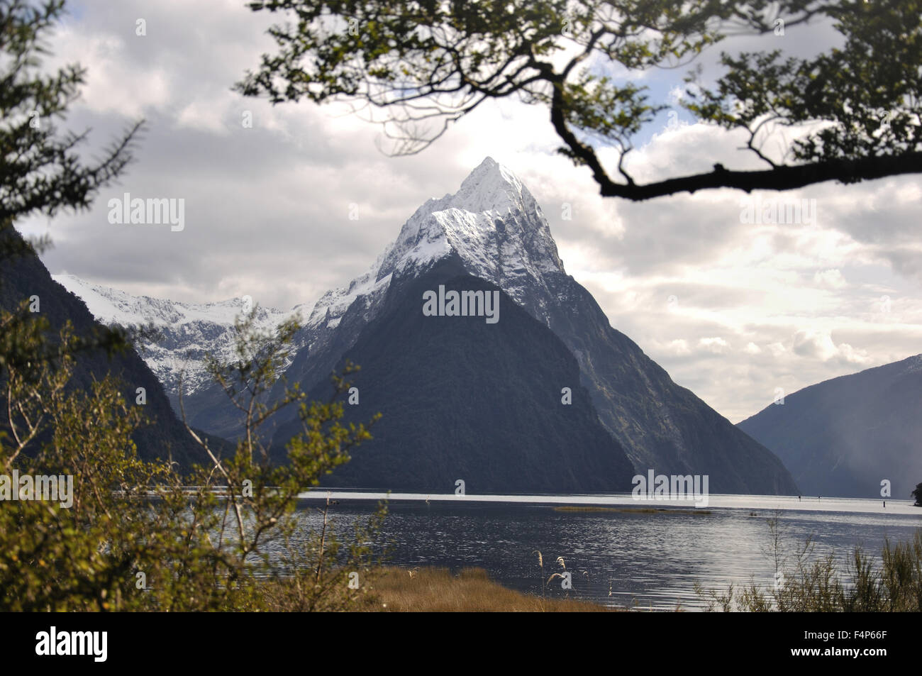 Mitre Peak, Milford Sound, Fiordland, Nuova Zelanda Foto Stock