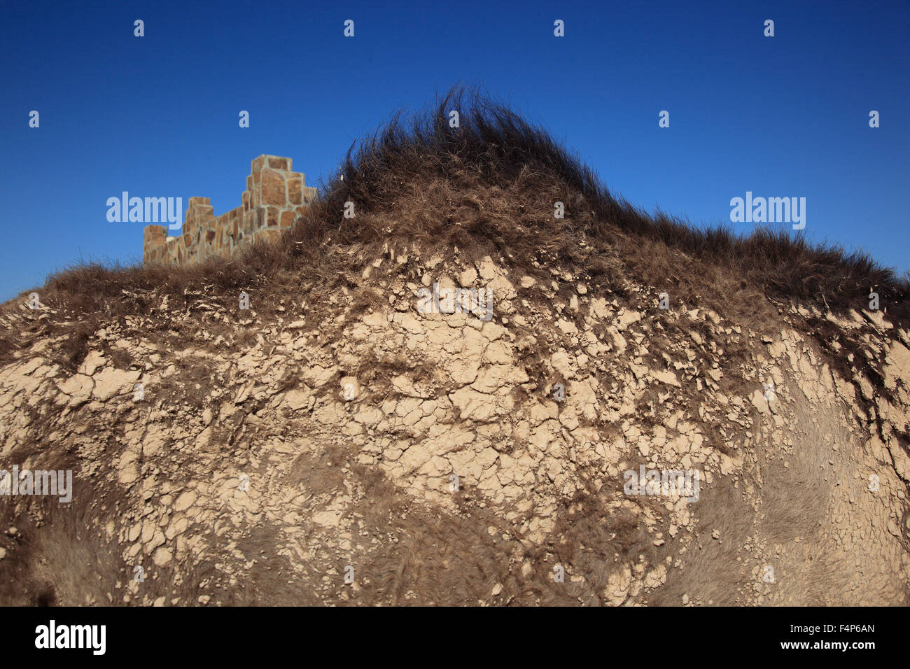 Dorso del cammello, in background Samhuram, Khor Rouri, sito di scavo nel vecchio incenso rotta commerciale, patrimonio culturale dell'UNESCO, Foto Stock