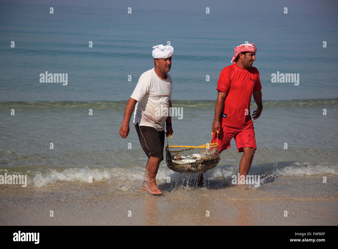 Fischer Arabian golf, con Tibat, la nonna nicchie enclave di Musandam, Oman Foto Stock