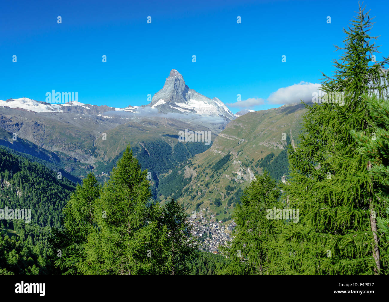 Panorama sul Cervino picco, Zermatt tra alberi di alpini. Luglio, 2015. Il Cervino, Svizzera. Foto Stock
