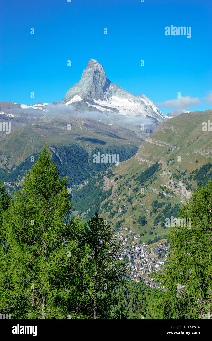 Visualizzazione verticale del Cervino, Zermatt, e da alberi di pino. Luglio, 2015. Il Cervino, Svizzera. Foto Stock