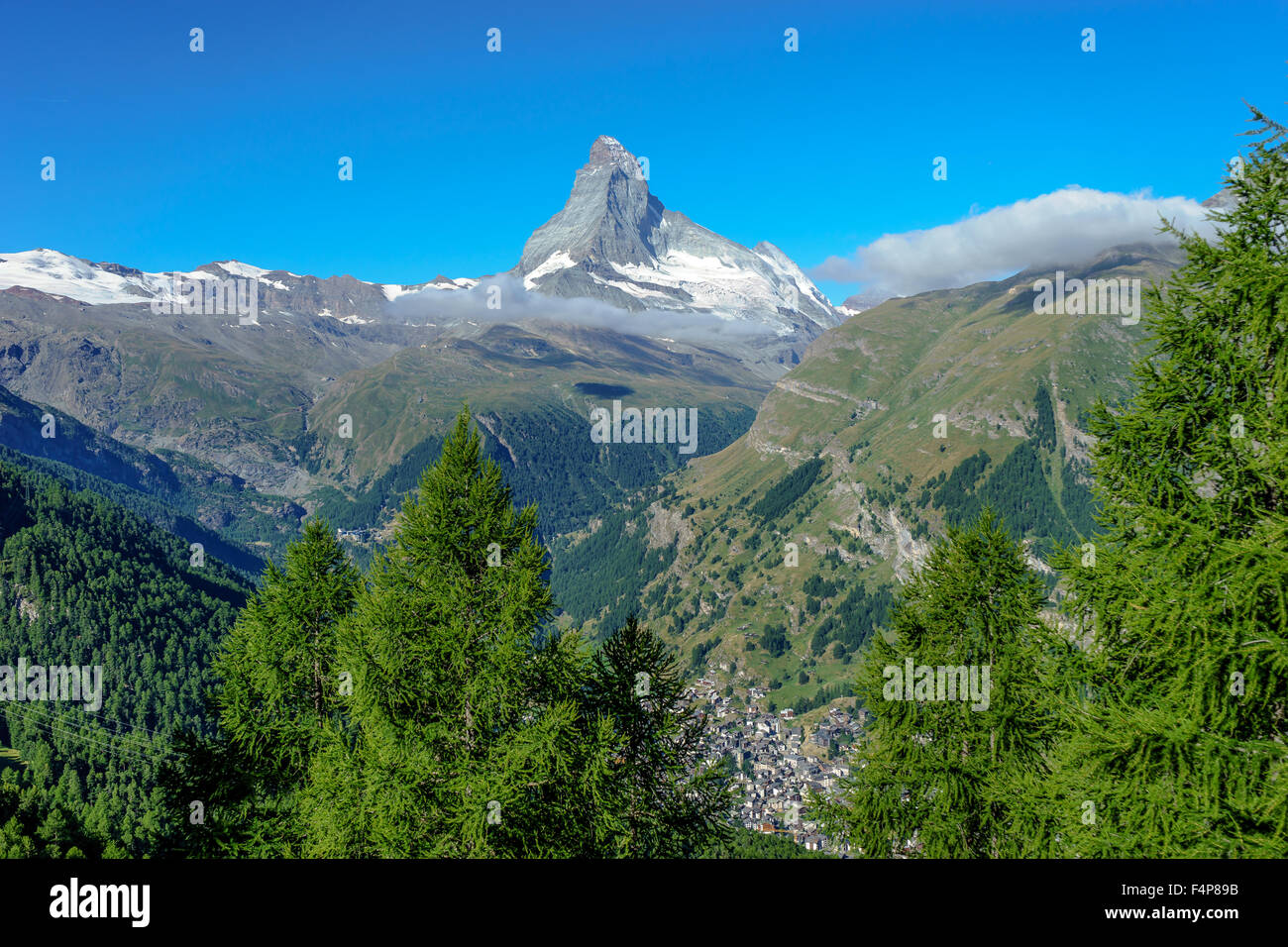 Picco sul Cervino, Zermatt, e da alberi di pino. Luglio, 2015. Il Cervino, Svizzera. Foto Stock