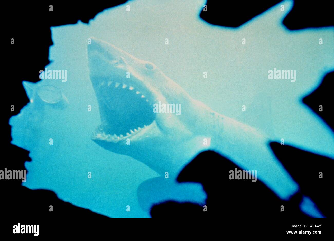 Ganasce 1975 diretto da Steven Spielberg Foto Stock