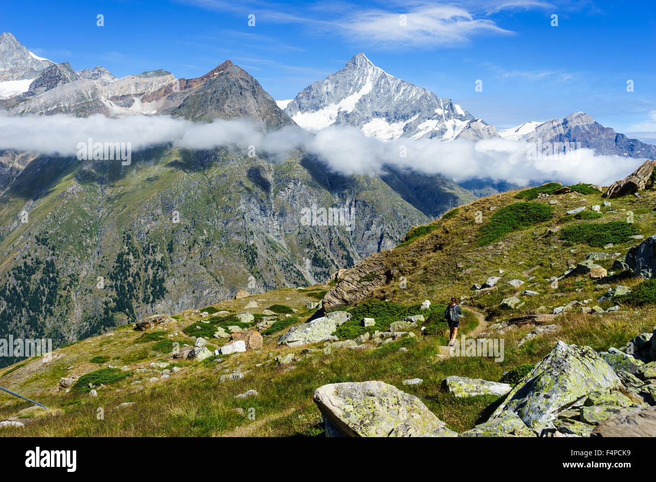 Un escursionista prende il Cervino Trail in estate. Luglio, 2015. Il Cervino, Svizzera. Foto Stock