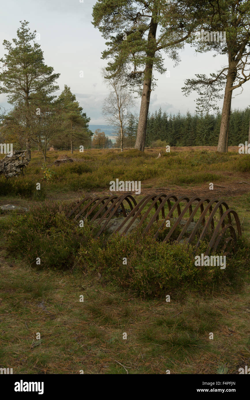 La pietra di raccolta presso il sito della battaglia di Sheriffmuir, guardando a Nord Nord Est, Sheriffmuir,Perthshire,Scozia,UK, Foto Stock