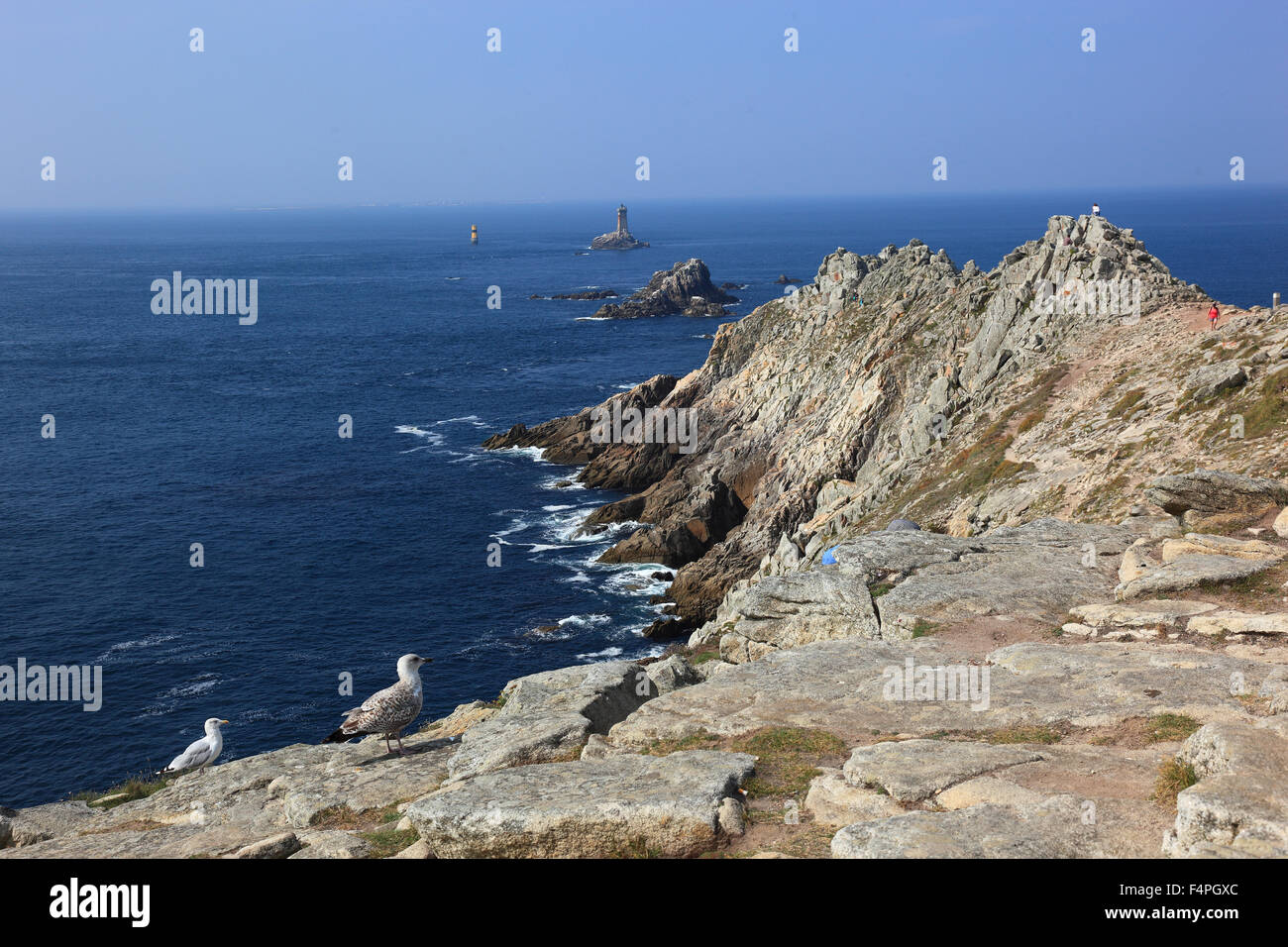 Francia, Bretagna, Cap Sizun, paesaggio A la Pointe du Raz, Faro La Vieille Foto Stock