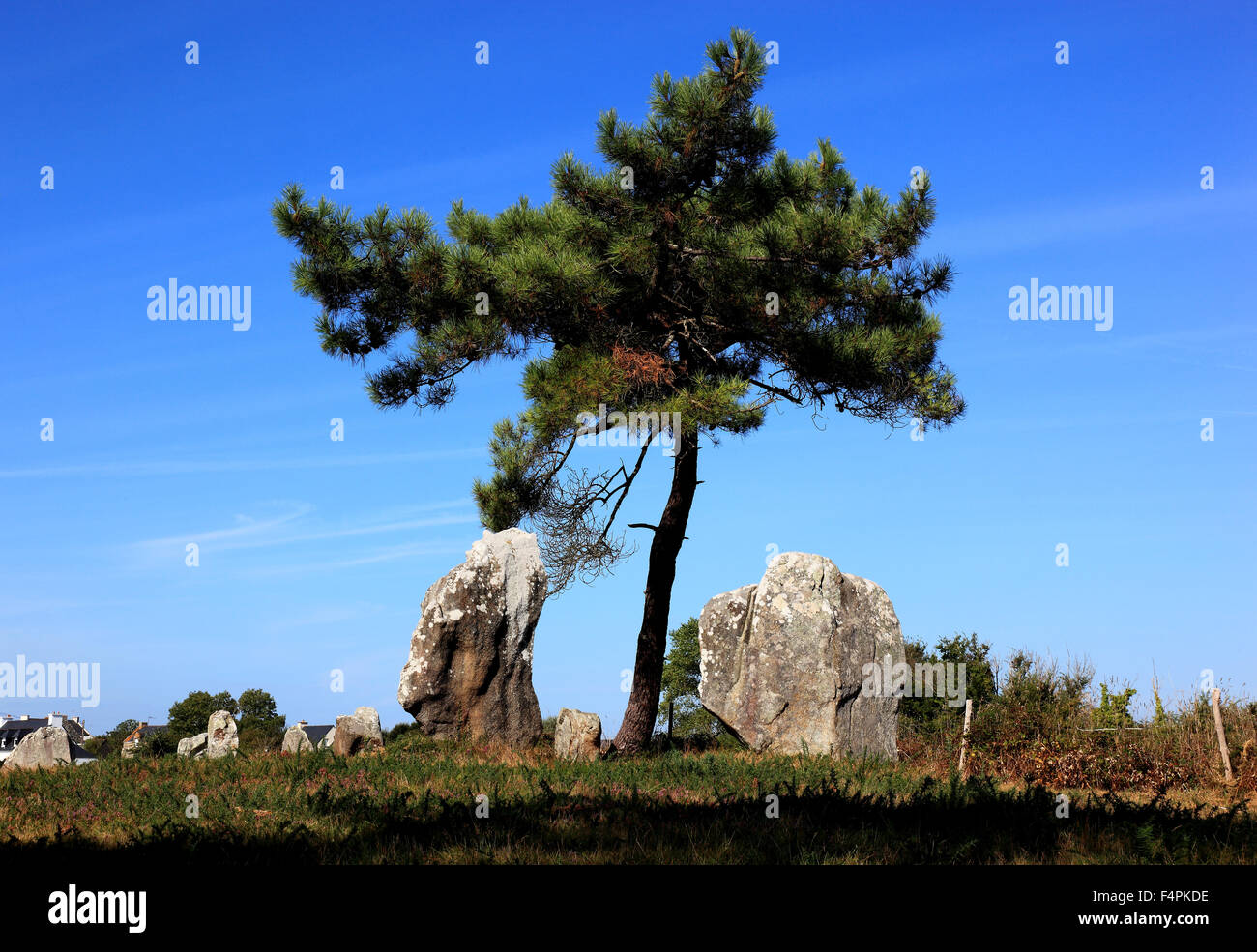 Francia, Bretagna, parte del cerchio di pietra, Cromlech von Crucuno, Dolmen Foto Stock