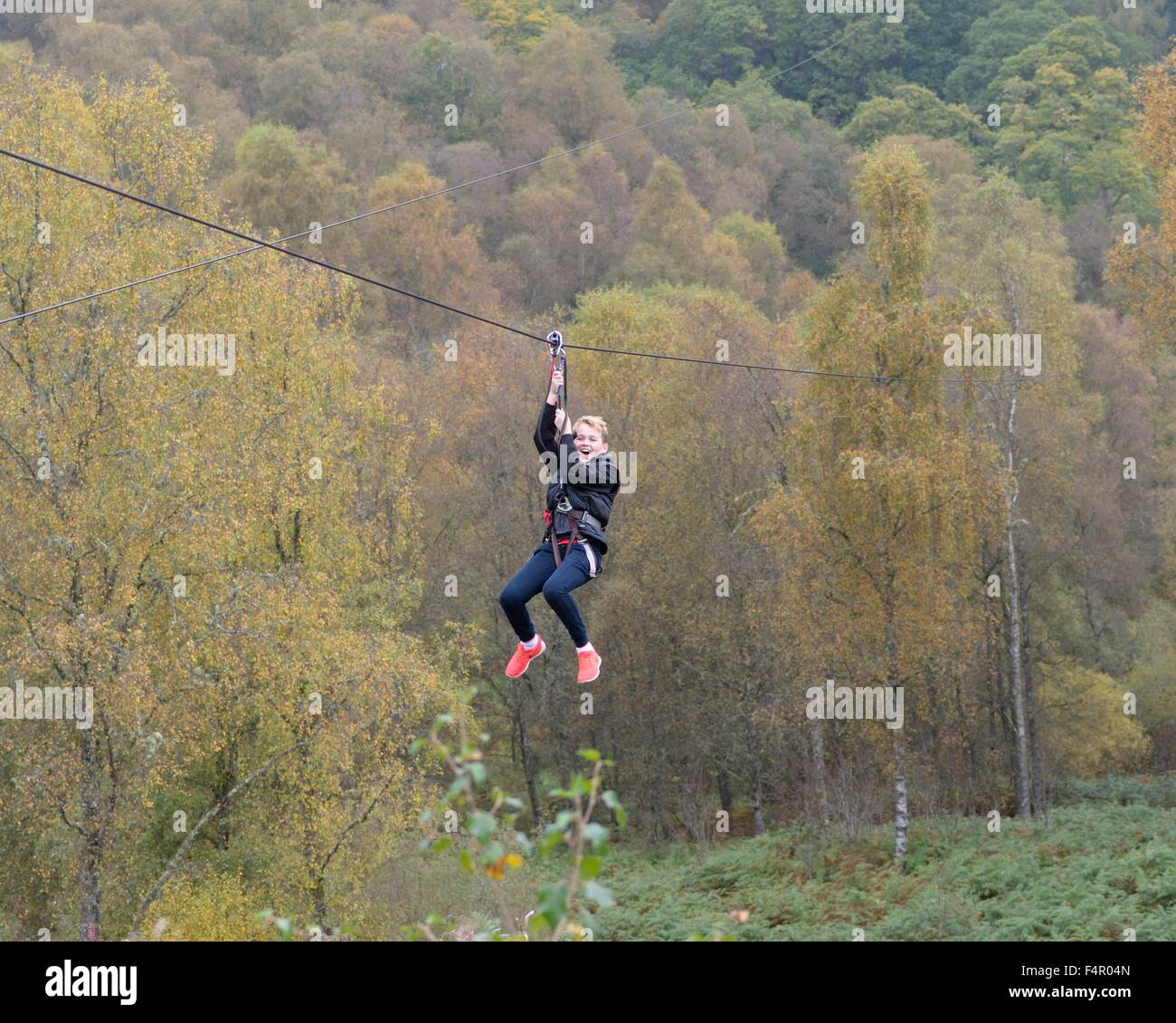 Zip slide a 'Go ape' nel Queen Elizabeth Forest park, Scotland, Regno Unito Foto Stock