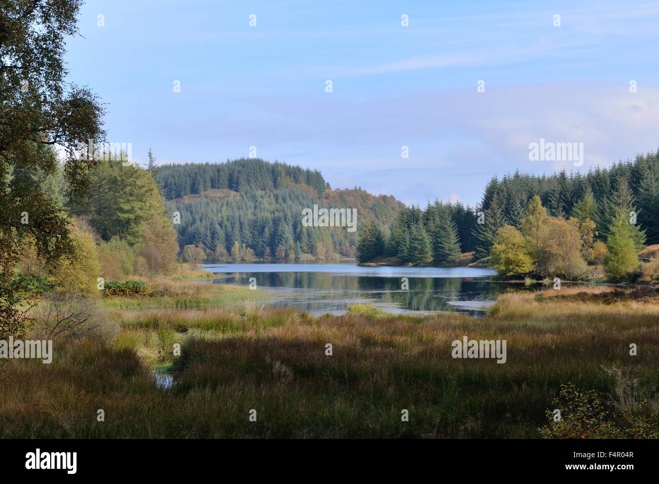 Loch Drunkie sulla "tre laghi Forest Drive' nel Queen Elizabeth Forest park, Scotland, Regno Unito Foto Stock