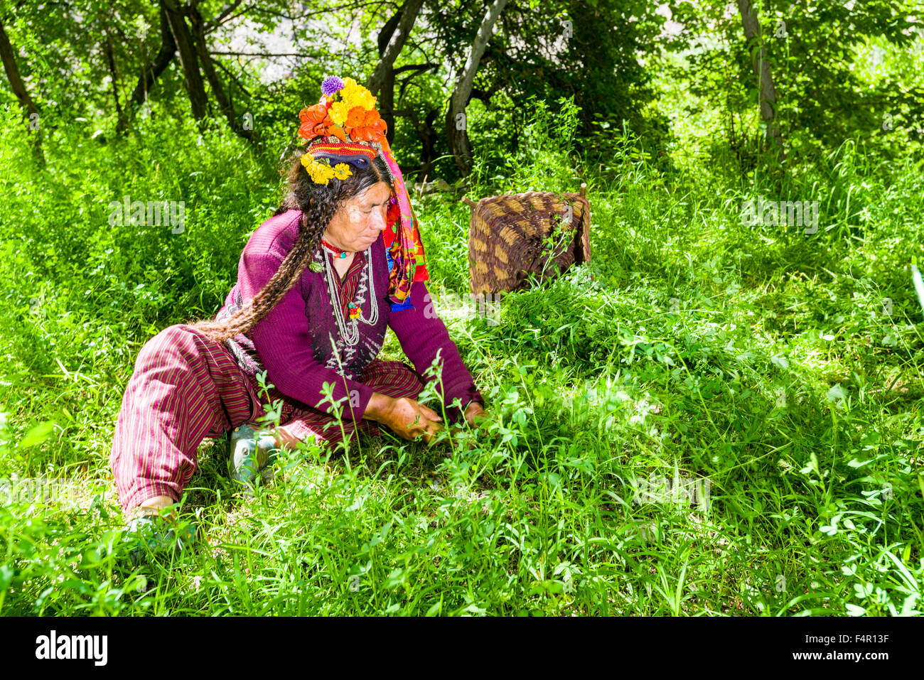 Una donna della tribù brokpa, una gara arien, nel suo abito tradizionale con una disposizione del fiore portato sulla testa Foto Stock