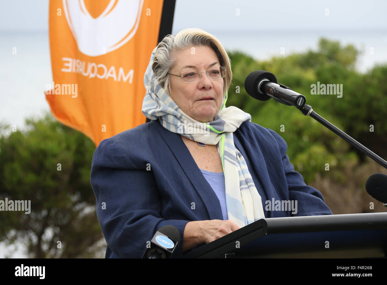 Sydney, Australia. Il 22 ottobre 2015. Nella foto: Waverley Mayor, Sally Betts parlando alla scultura di mare Bondi lancio in marchi park, Tamarama. 107 diverse sculture può essere visto nel XIX scultura annuale dal mare Bondi mostra lungo la passeggiata costiera tra Bondi e spiagge Tamarama. Credito: Richard Milnes/Alamy Live News Foto Stock