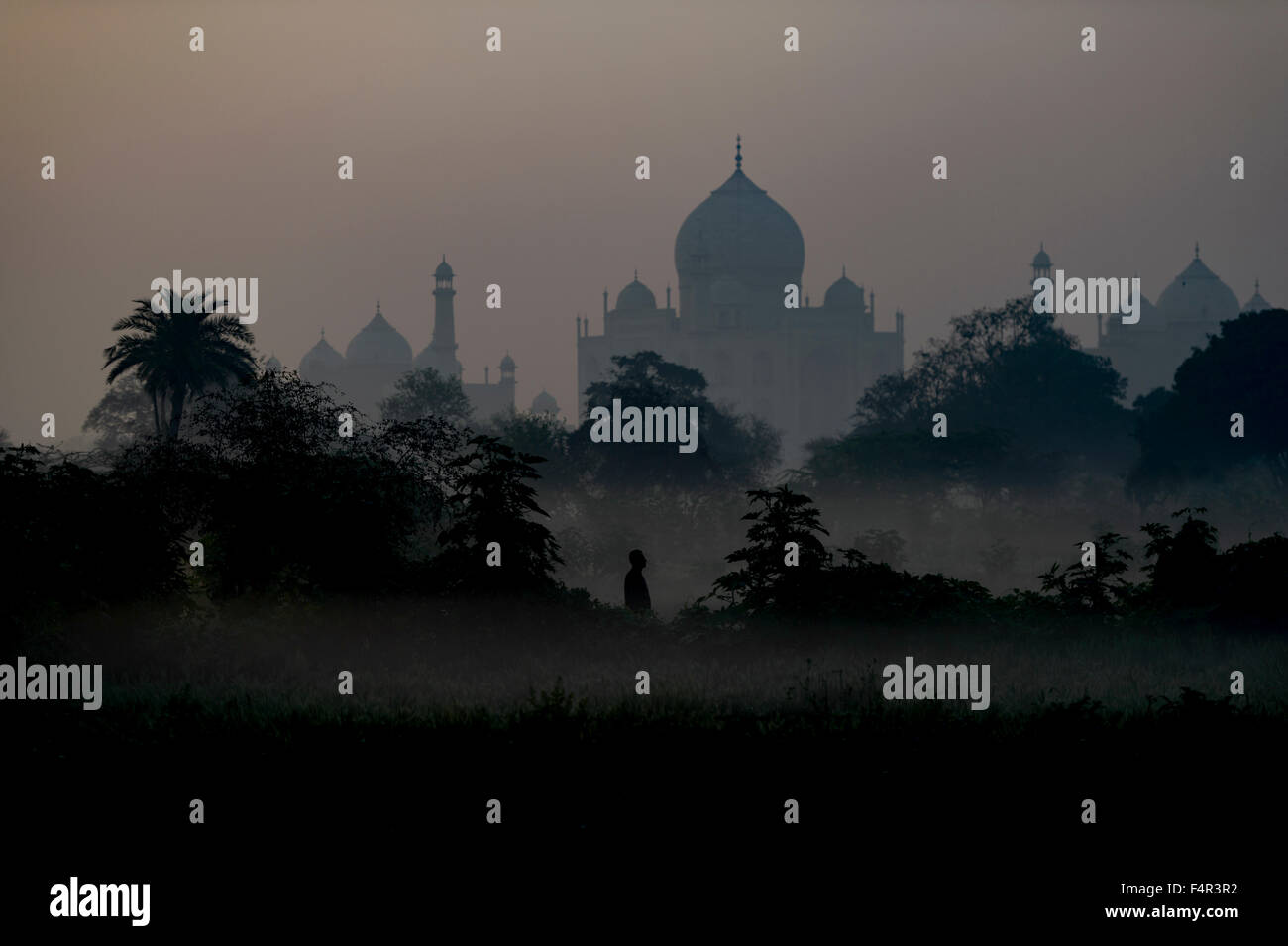 Mattinata nebbiosa in Taj Mahal, Agra, India. Foto Stock