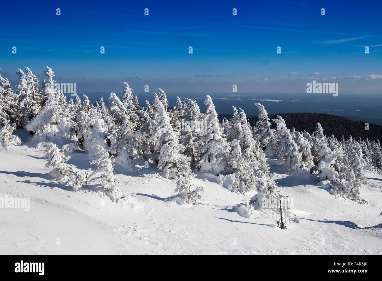 Brocken, Germania, Europa, summit, picco, Harz, Hochharz, scenario, parco nazionale, natura, Sassonia-Anhalt, neve, nevoso, paesaggi, dee Foto Stock