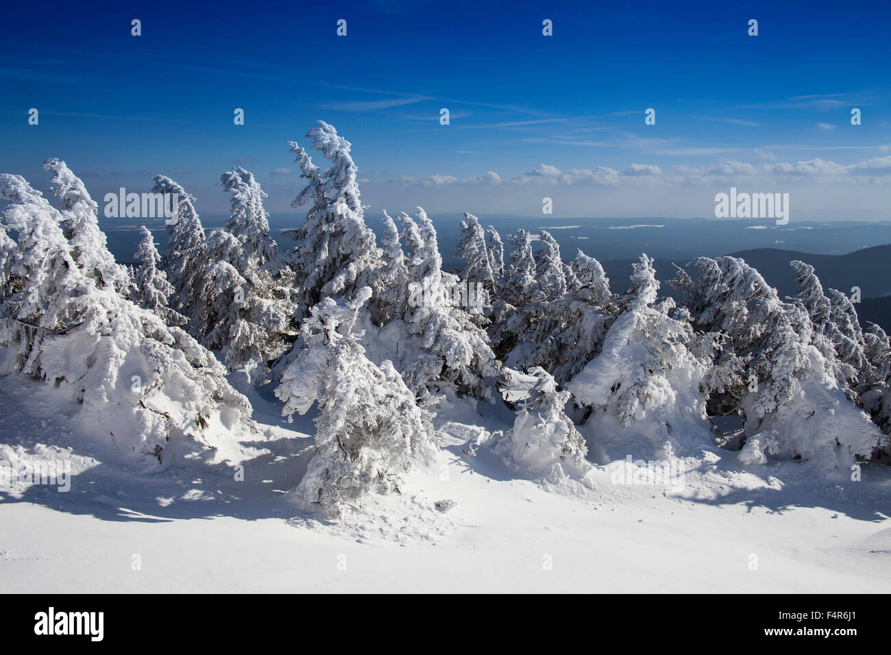 Brocken, Germania, Europa, summit, picco, Harz, Hochharz, scenario, parco nazionale, natura, Sassonia-Anhalt, neve, nevoso, paesaggi, dee Foto Stock