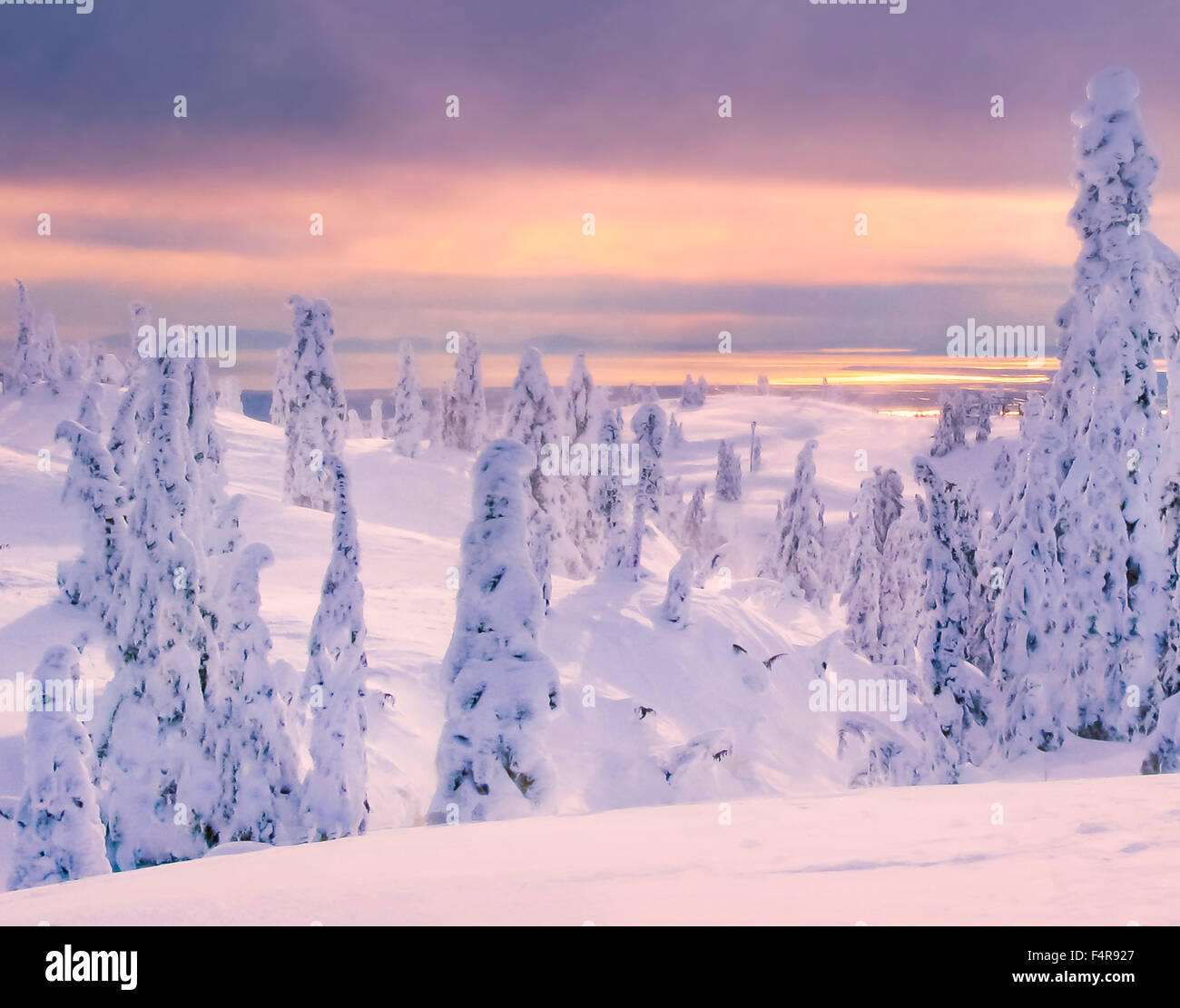Canada, Mount Seymour, Parco Provinciale, British Columbia, inverno, alberi, la neve e il paesaggio Foto Stock