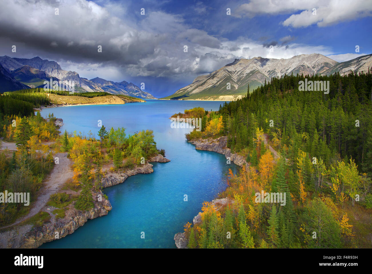 Il Lago di Smeraldo, Yoho, Jasper National Park, British Columbia, estate, tramonto, fiori selvatici, fiori, lago, provincia, Bridg naturale Foto Stock