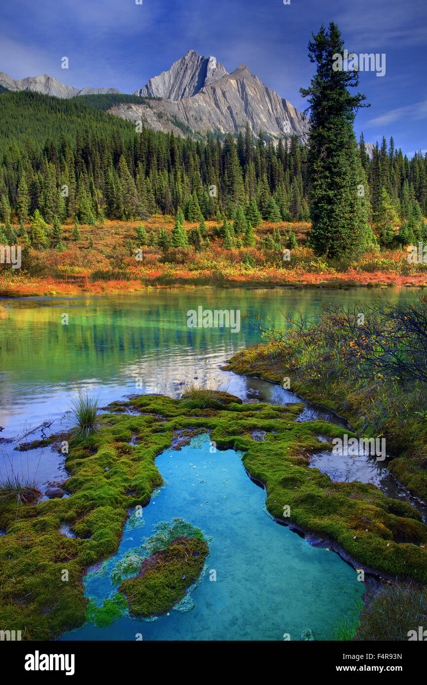 Il Lago di Smeraldo, Yoho, Jasper National Park, British Columbia, estate, tramonto, lago di provincia, ponte naturale Canyon, canyonwater, Foto Stock