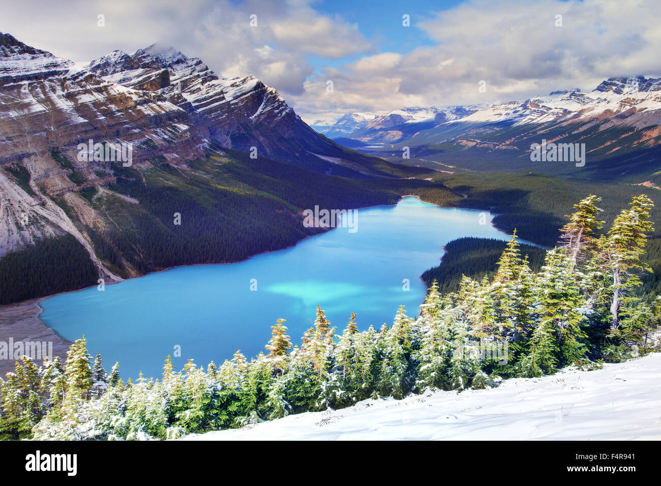 Canada, Provincia, natura, paesaggio, Rockies, Canadian Rockies, Montagne, Lago, scenario, il Lago Peyto Lake, turchese, acqua, Ic Foto Stock