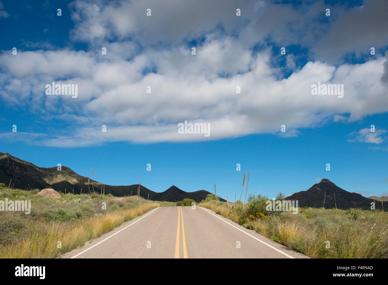 Stati Uniti d'America, Stati Uniti, America, Southwest New Mexico, organo Mountains-Desert picchi, monumento nazionale, Dona Ana County, autostrada, d Foto Stock