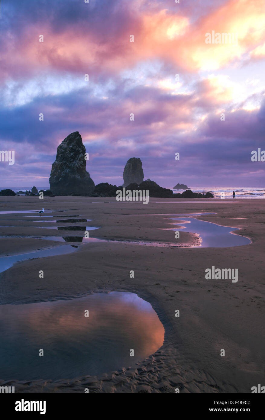 Stati Uniti d'America, Stati Uniti, America West Coast, Oregon, Cannon Beach, costa, stack di mare, Tramonto, Spiaggia, Waters Edge, costiere, sabbia, refl Foto Stock