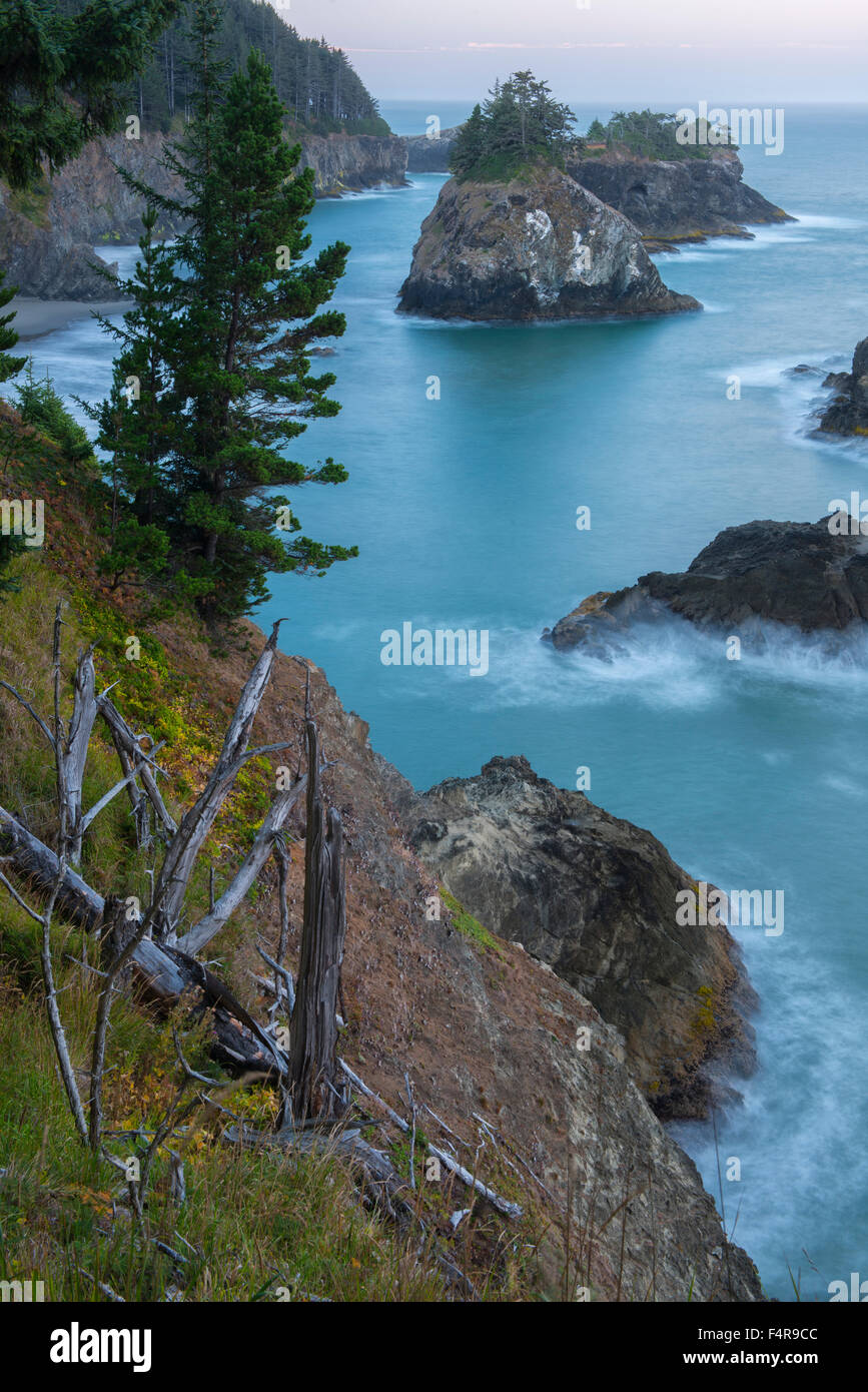 Stati Uniti d'America, Stati Uniti, America West Coast, Oregon, Samuel H. Boardman, membro Scenic corridoio, costa, Cliff, costiere, surf, mare sta Foto Stock