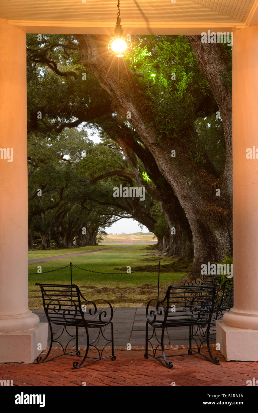 Stati Uniti d'America, Stati Uniti, America, Louisiana, San Giacomo parrocchia, Vacherie, Oak Alley Plantation, patio, vicolo, southern living, mazzo, Foto Stock