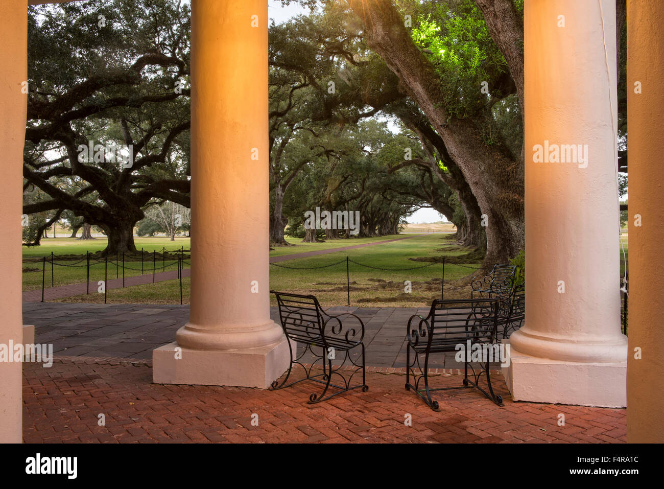 Stati Uniti d'America, Stati Uniti, America, Louisiana, San Giacomo parrocchia, Vacherie, Oak Alley Plantation, southern, Mansion, piantatrice Dixie, tra Foto Stock