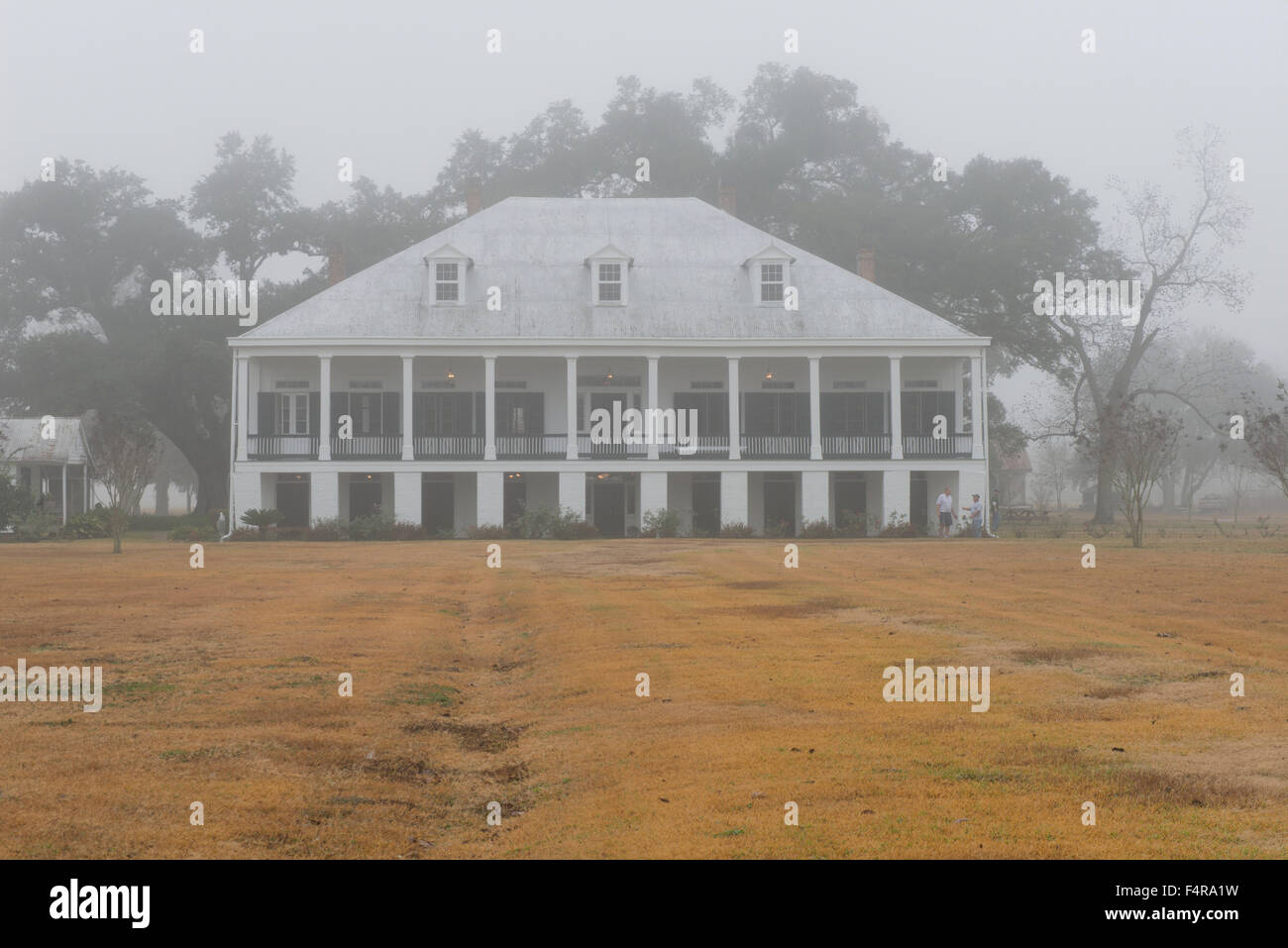 Stati Uniti d'America, Stati Uniti, America, Louisiana, San Giacomo parrocchia, Vacherie, egli sud, sud, Mansion, piantatrice Dixie, viaggi, nebbia, pl Foto Stock