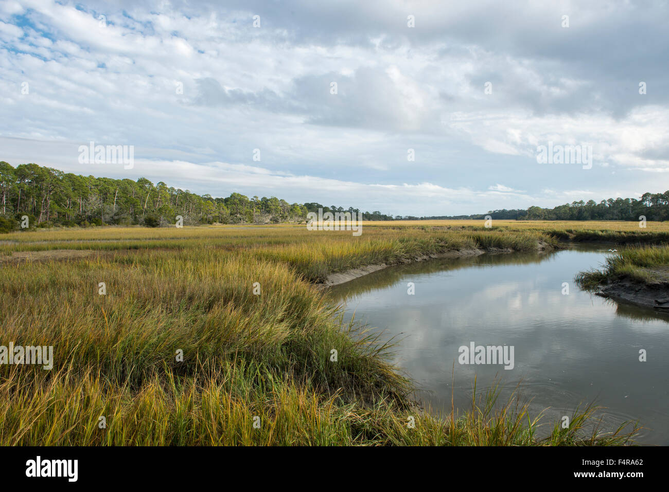 Stati Uniti d'America, Stati Uniti, America, Georgia, southern, Jekyll Island, golden isles, Spiaggia, Paesaggio, Atlantico, marsh, paesaggio, coast Foto Stock