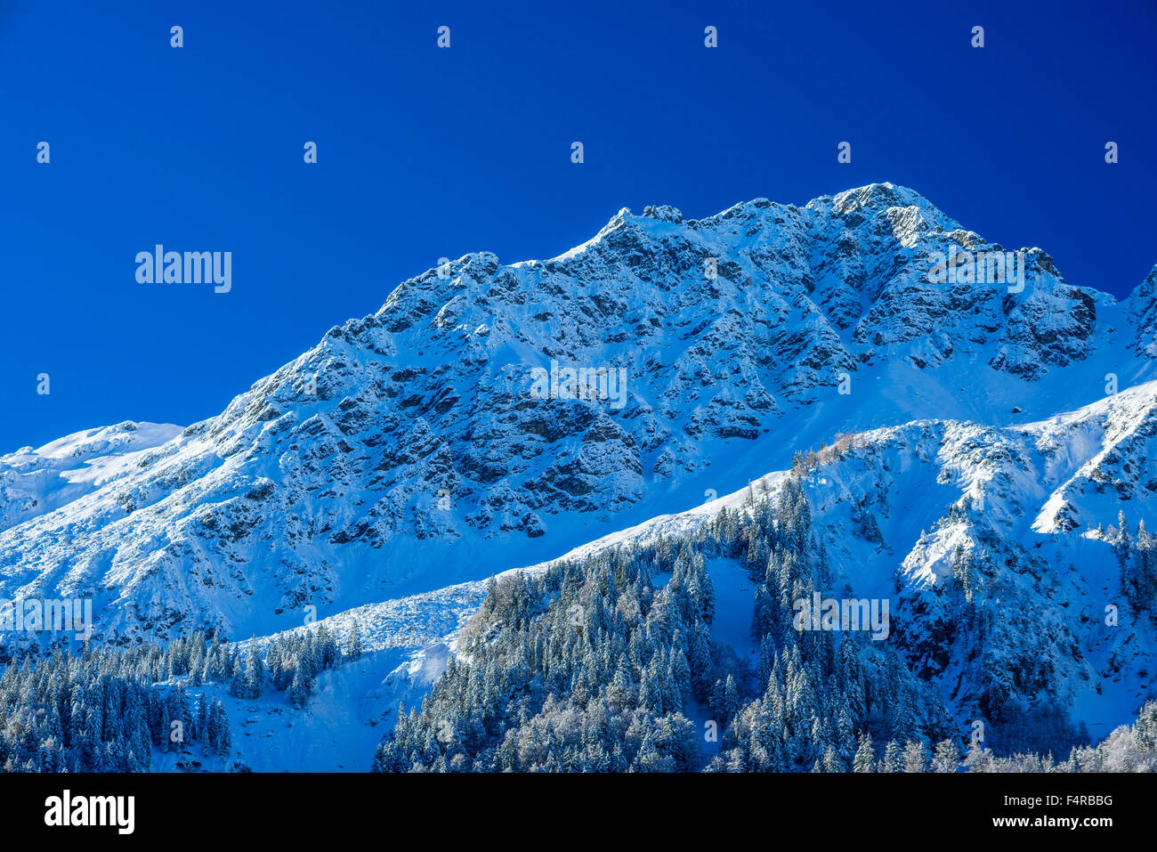 2164, Allgaeu, Allgaeuer, Algovia, Allgäuer Alpen, Alpi al di fuori, alberi, bavarese, Germania, Europa, montagne, Grieskundkopf, col Foto Stock