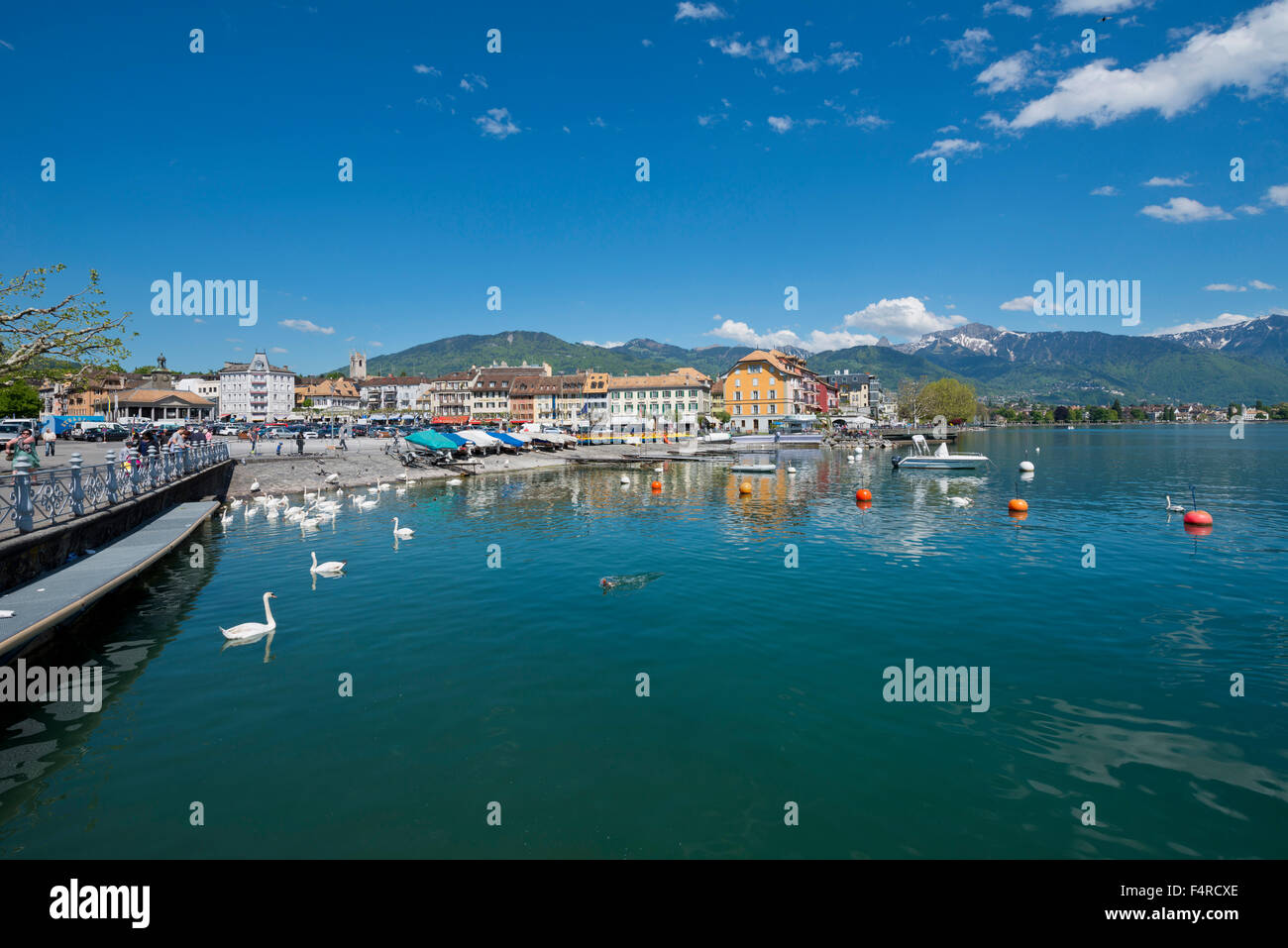 La Svizzera, paese, città, Vaud, VD, Vevey, Lac Leman, sul lago di Ginevra, lago, estate, Foto Stock