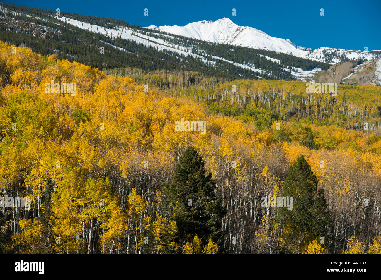 Stati Uniti d'America, STATIUNITI, America, Colorado Montagne Rocciose, Aspen, fogliame, picco, montagne, il paesaggio Foto Stock