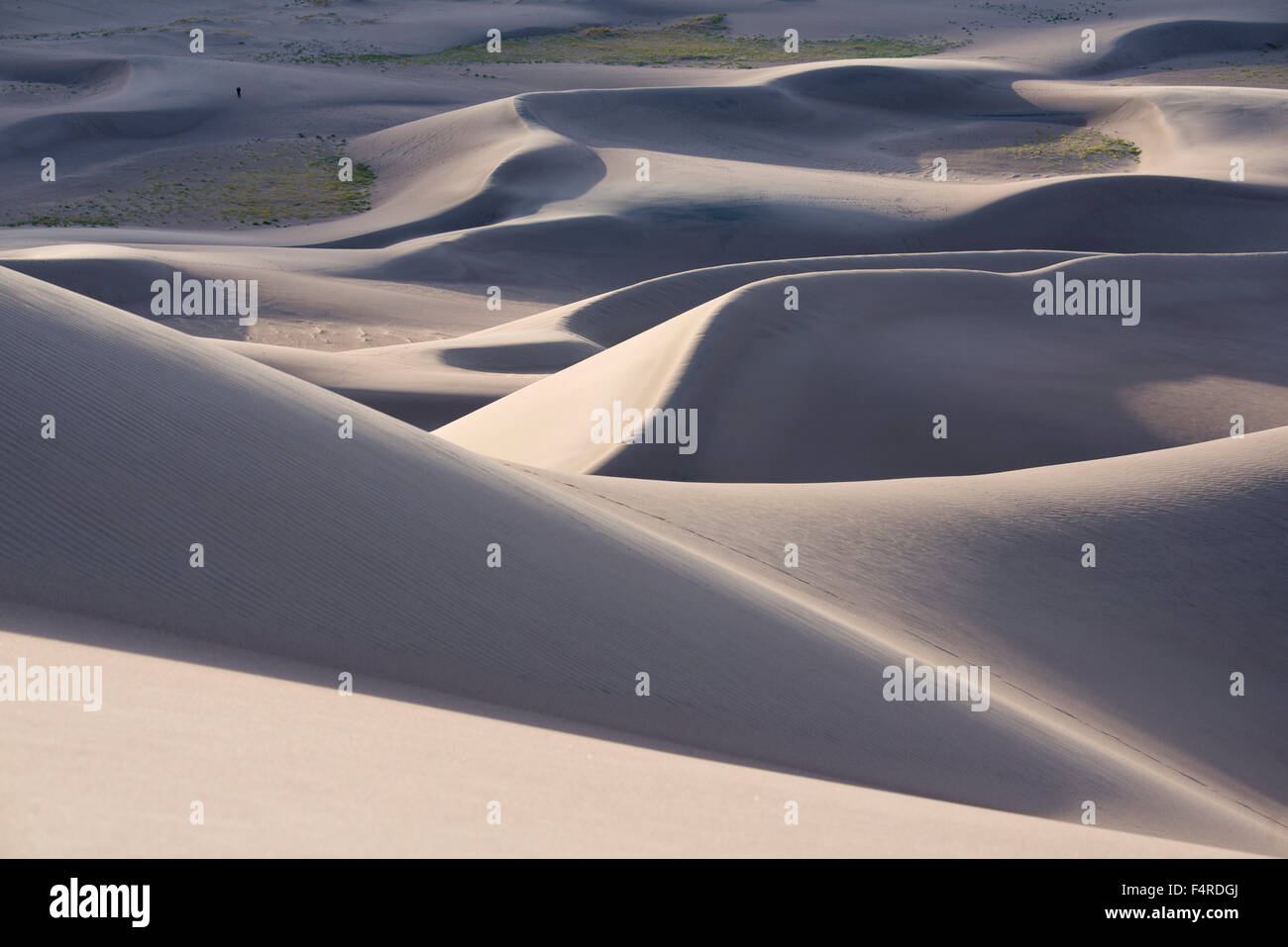 Stati Uniti d'America, STATIUNITI, America, Southwest Colorado, Alamosa County, grandi dune di sabbia, Parco Nazionale, preservare le dune, escursionismo, escursionista Foto Stock