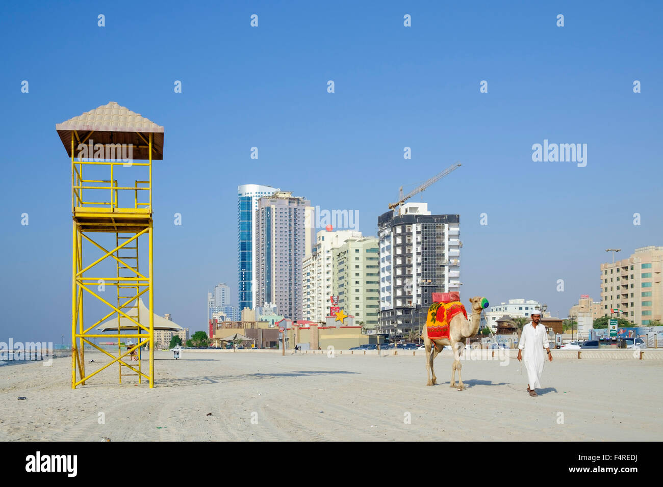 Uomo con cammello camminando sulla spiaggia sul lungomare di Ajman emirato negli Emirati Arabi Uniti Foto Stock Uomo con cammello camminando sulla spiaggia sul lungomare di Ajman emirato negli Emirati Arabi Uniti Foto Stock