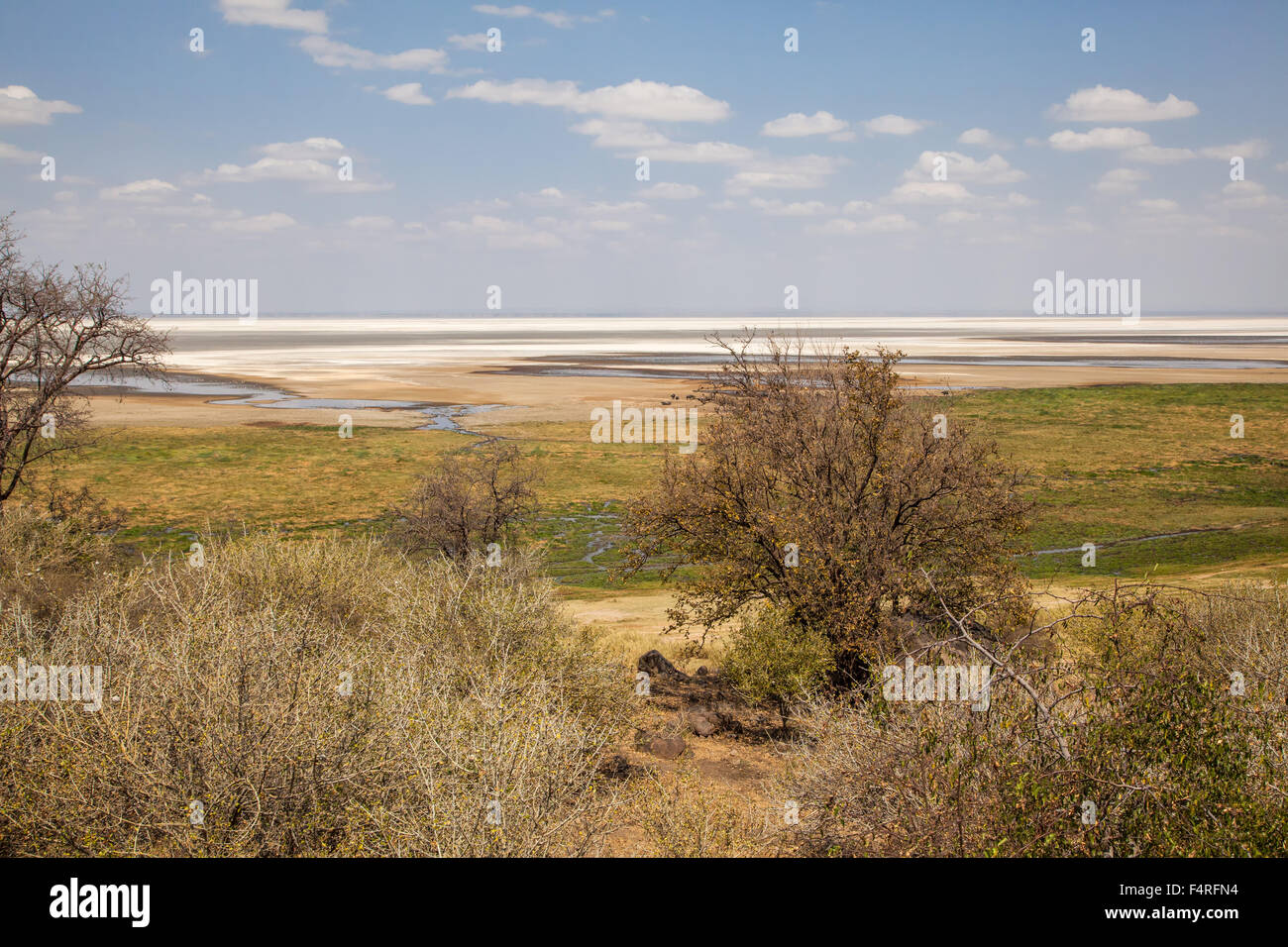Africa, alberi, Lake Manyara national park, paesaggio, paesaggio, safari, viaggi, lago, Tanzania, acqua Foto Stock