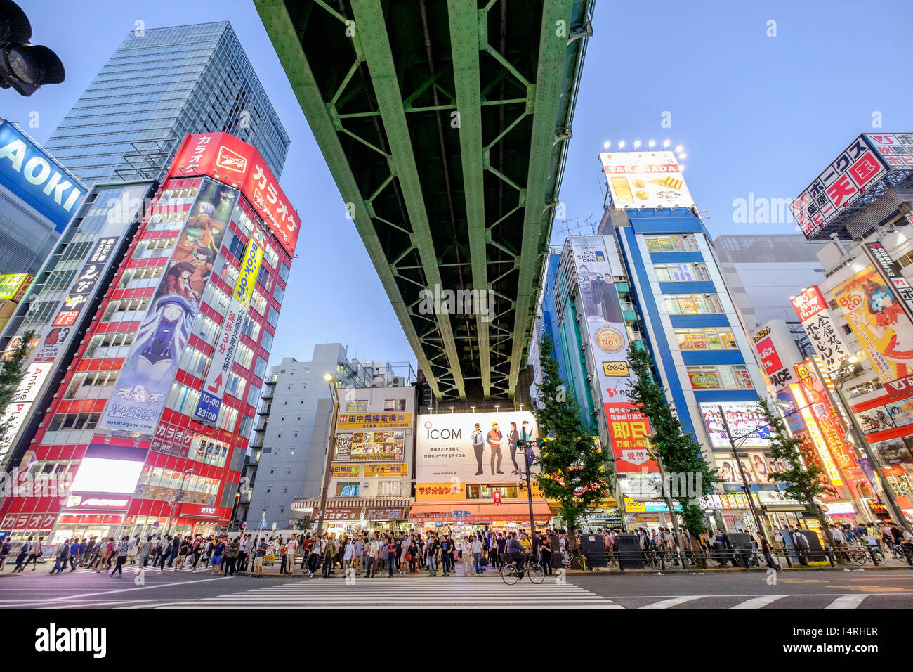 Vista della strada nella serata di elettronica affollato quartiere di Akihabara a Tokyo Giappone Foto Stock