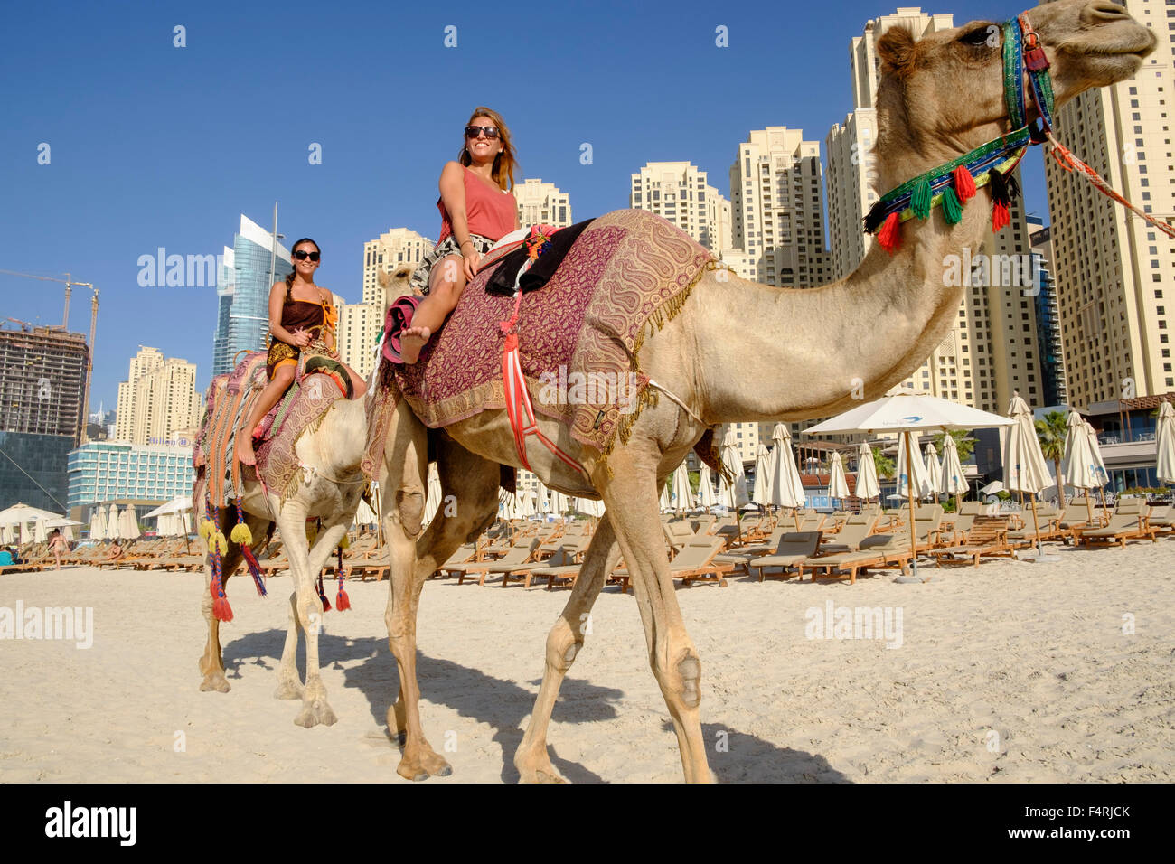 I turisti a cavallo cammello sulla spiaggia a JBR Jumeirah Beach Residence in Marina District di Dubai Emirati Arabi Uniti Foto Stock