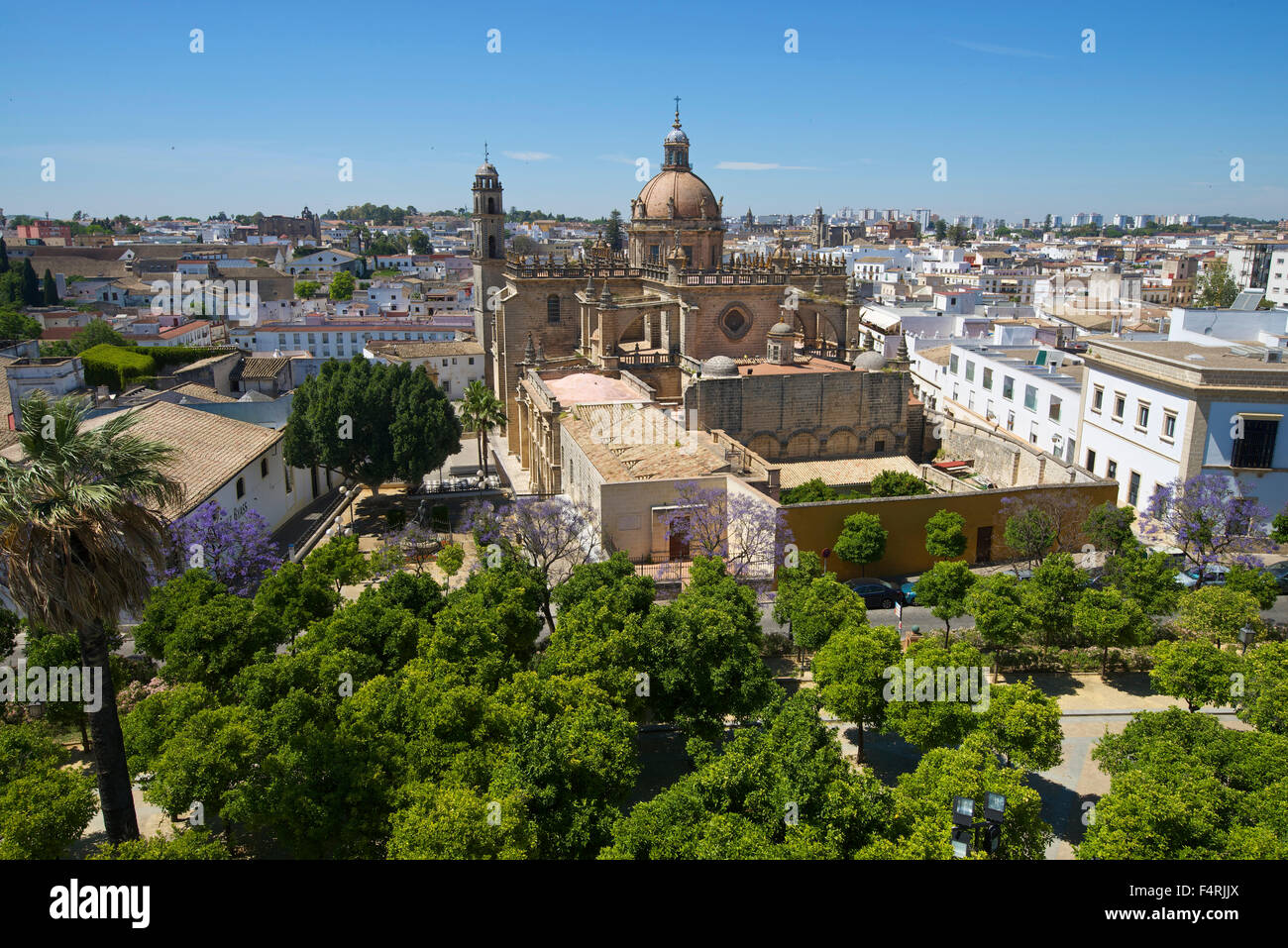 Andalusia, Spagna, Europa, Esterno, giorno, Jerez de la Frontera, Costa de la Luz, nessuno, vista città, paese, città, cattedrale, chiesa, Foto Stock