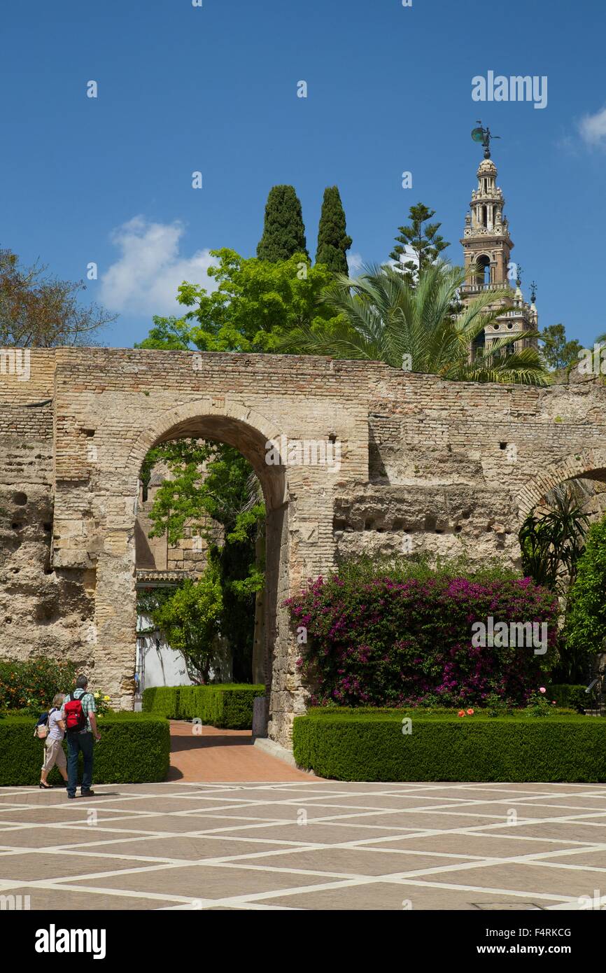 Cortile con giardino, Alcazar, Siviglia, in Andalusia, Spagna, Europa Foto Stock