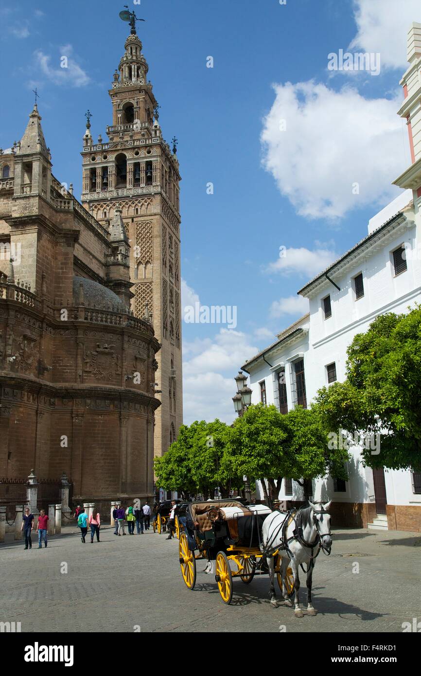 Carrozza a cavalli, la torre della cattedrale di Siviglia, in Andalusia, Spagna, Europa Foto Stock