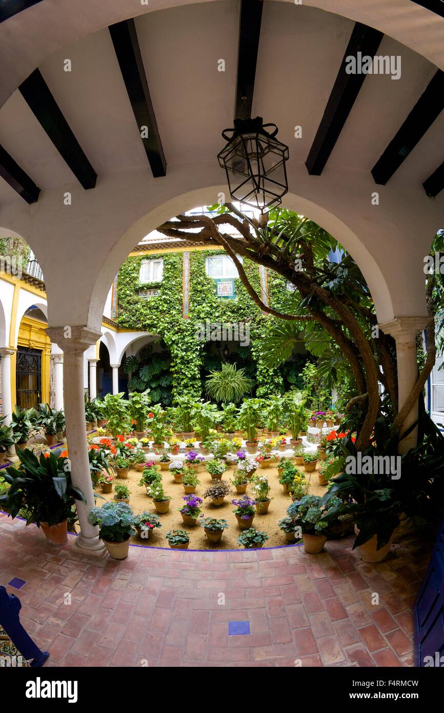 Cortile con giardino, Siviglia, in Andalusia, Spagna, Europa Foto Stock