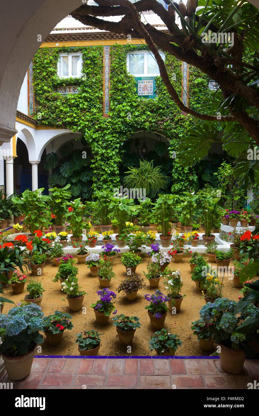 Cortile con giardino, Siviglia, in Andalusia, Spagna, Europa Foto Stock