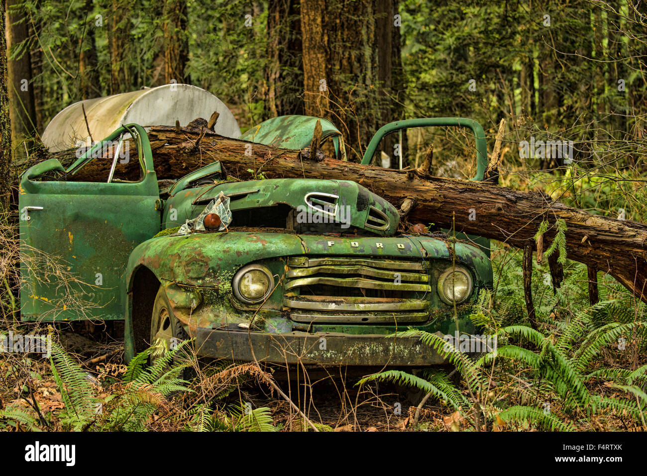 Frantumato, vecchio, carrello, verde, ambiente, inquinamento, verde Foto Stock