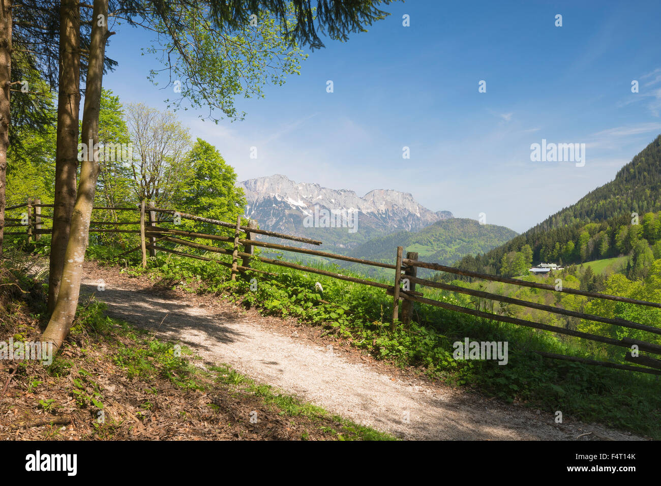 Un modo Nelle Schönau sul fuoco testa con il monte Untersberg in background Foto Stock