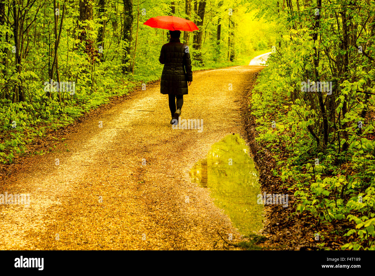 Da soli, Baden-Württemberg, foglie di faggi, Germania, solitario, lonesome donna, solitudine, una persona, relax, riposo, Europa, F Foto Stock