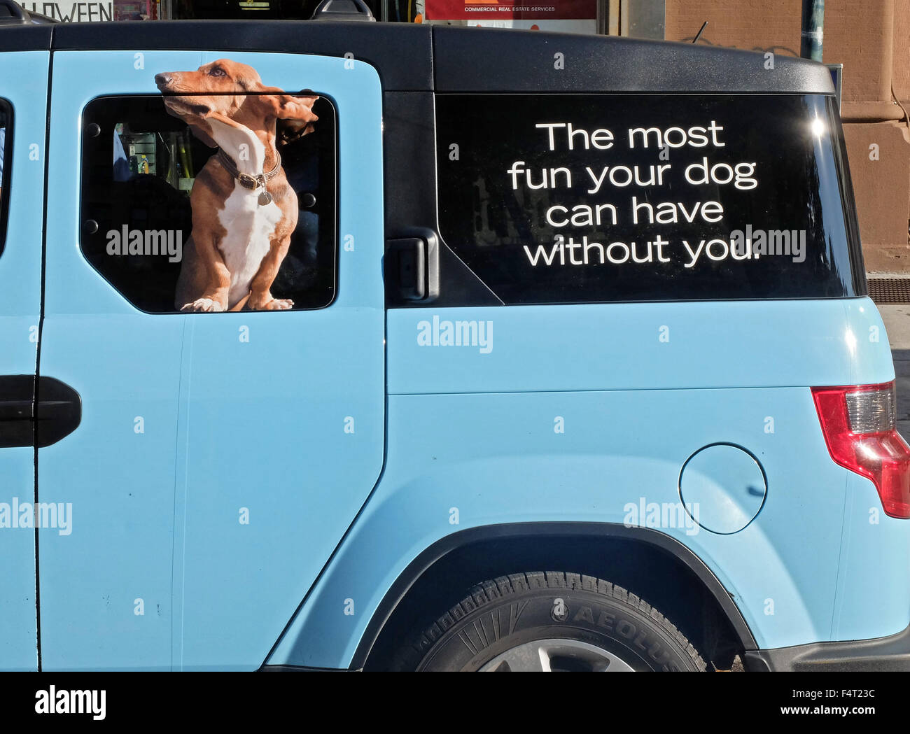 Un cane di ceramica in un furgone finestra . Un insolito annuncio per cane biscotti & bagno, un cane catena spa in New York City. Foto Stock